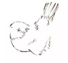 国画麻雀的画法步骤