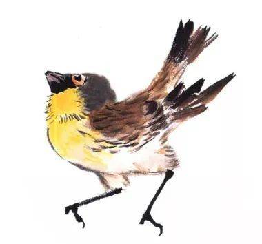 国画麻雀的画法步骤