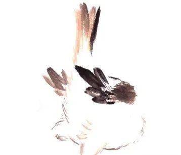 国画麻雀的画法步骤