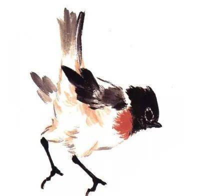 国画麻雀的画法步骤