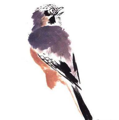 国画麻雀的画法步骤