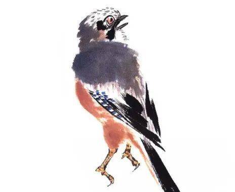 国画麻雀的画法步骤