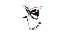 国画麻雀的画法步骤