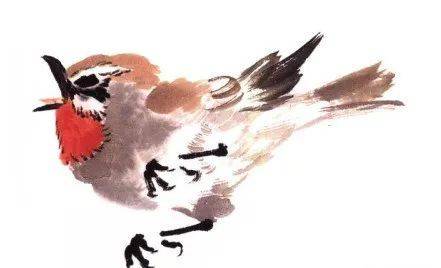 国画麻雀的画法步骤