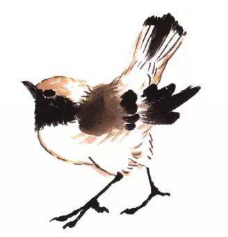 国画麻雀的画法步骤