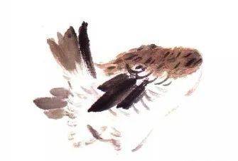 国画麻雀的画法步骤