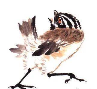 国画麻雀的画法步骤