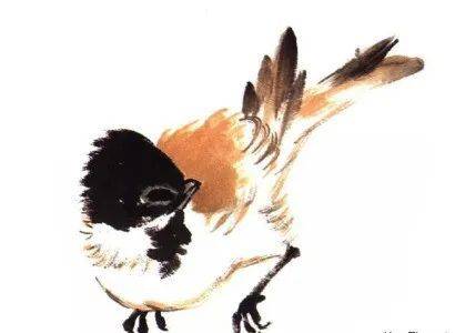 国画麻雀的画法步骤