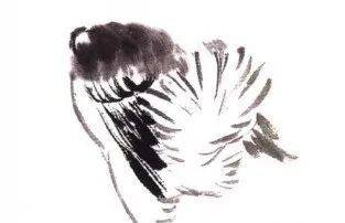 国画麻雀的画法步骤