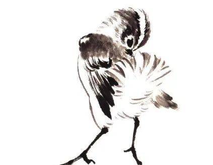 国画麻雀的画法步骤