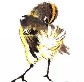 国画麻雀的画法步骤