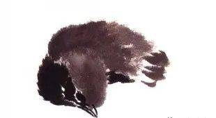 国画麻雀的画法步骤