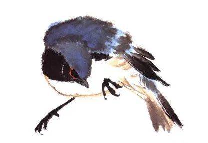 国画麻雀的画法步骤