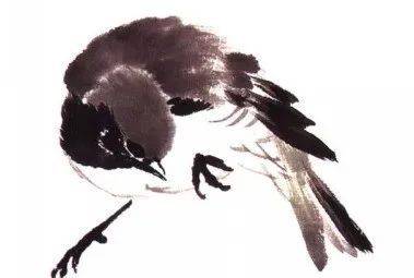 国画麻雀的画法步骤