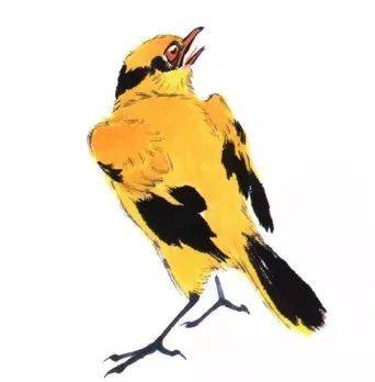 国画麻雀的画法步骤