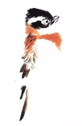 国画麻雀的画法步骤