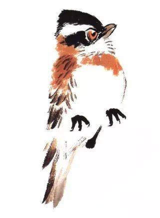 国画麻雀的画法步骤