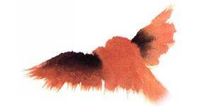 国画麻雀的画法步骤