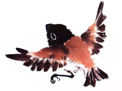 国画麻雀的画法步骤