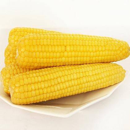 Fruit corn cultivation