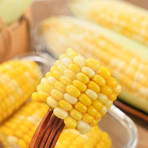 Fruit corn cultivation