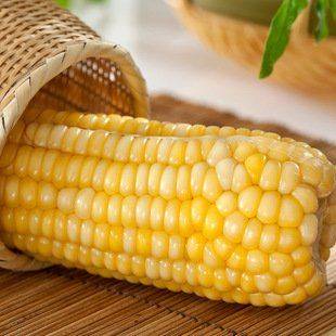 Fruit corn cultivation