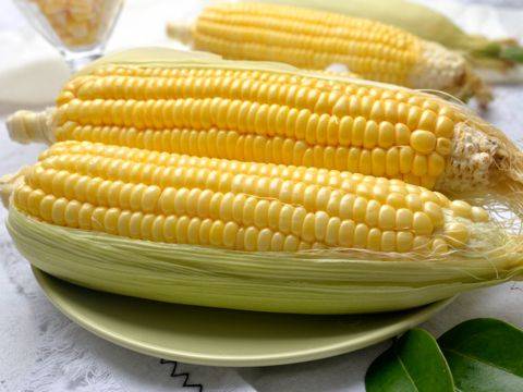 Fruit corn cultivation