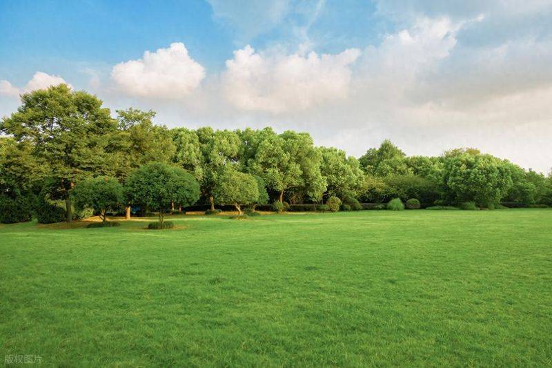 Cross-border electrician website ranking