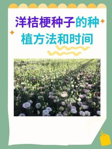 Chinese medicine orange infarction techniques