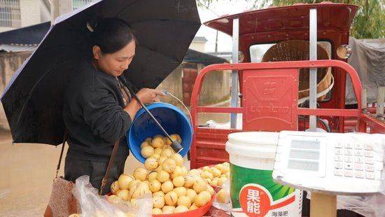 The method of cultivation of human cucumbers