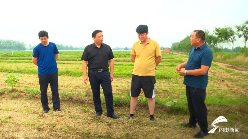 Fruit corn cultivation