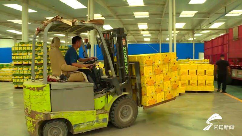 Fruit corn cultivation