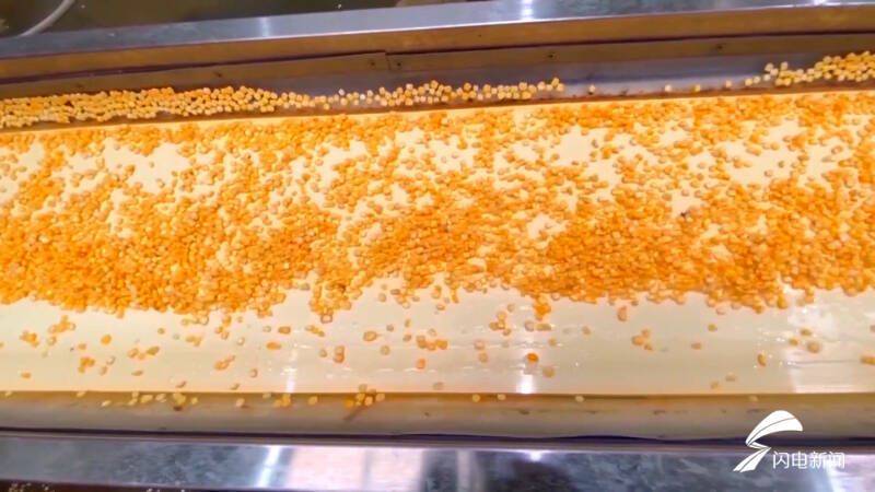 Fruit corn cultivation