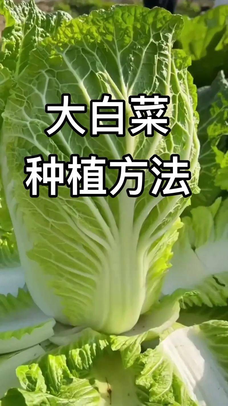 Agricultural technology and farming techniques