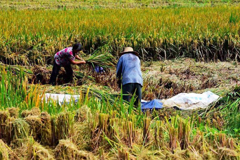 留守儿童心理问题的成因及对策分析