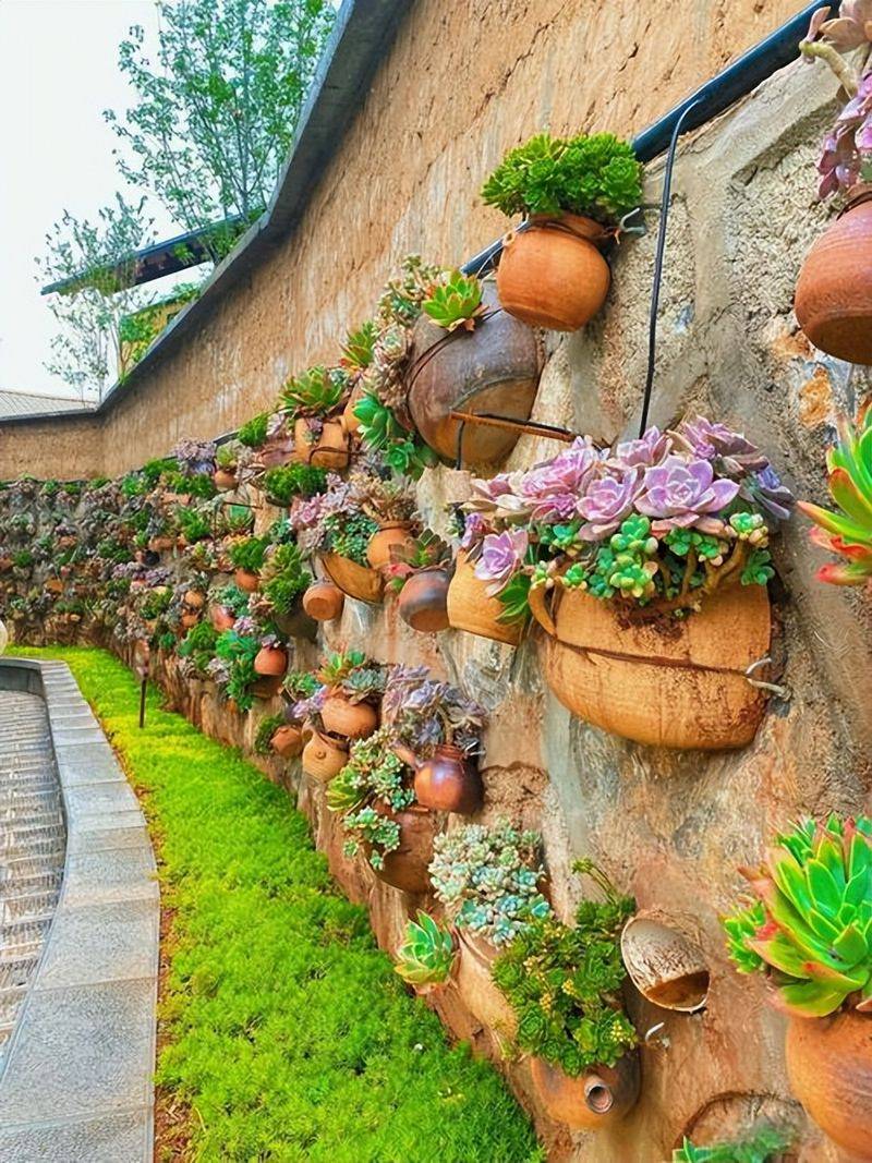 The method of planting meat plants