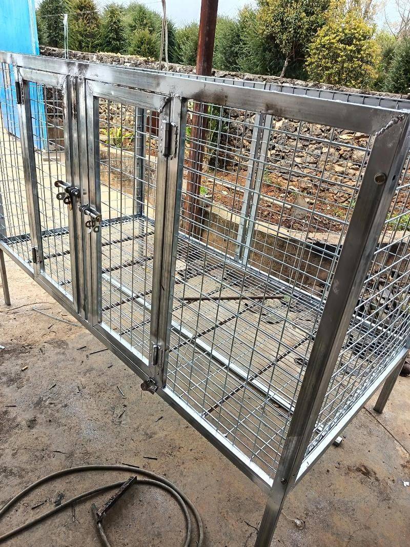 杭州虹泰宠物医院费用