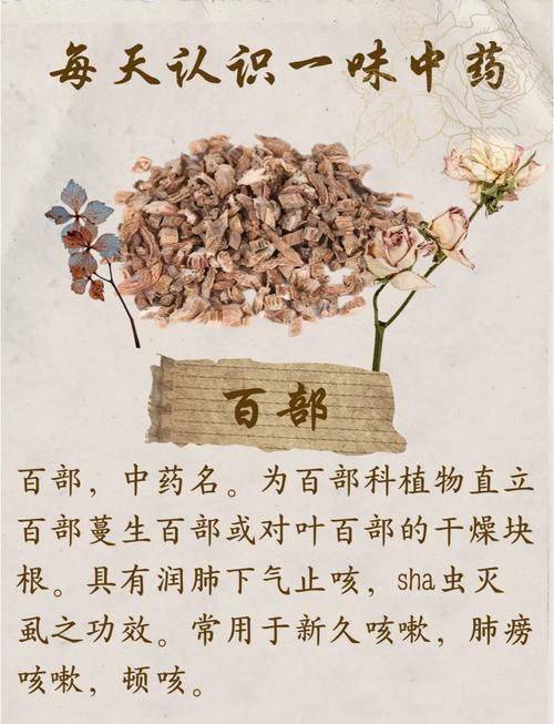 百部草的功效与作用机理