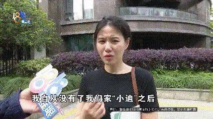 杭州虹泰宠物医院费用