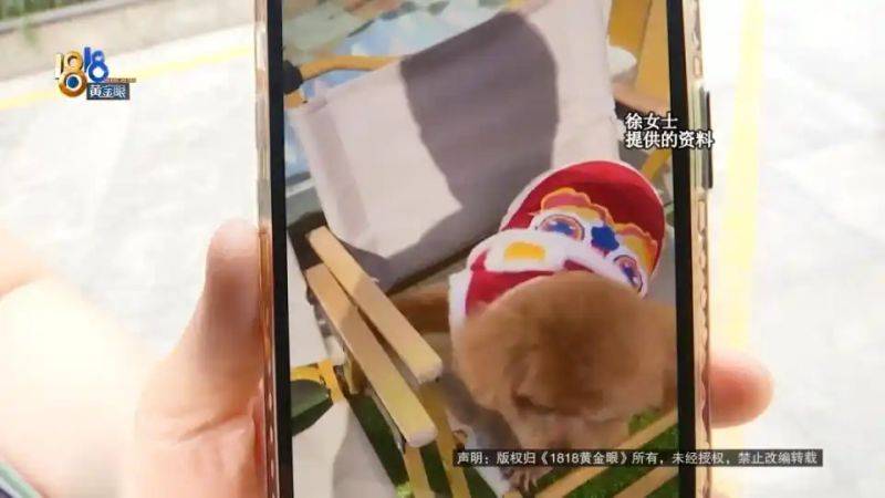 杭州虹泰宠物医院费用