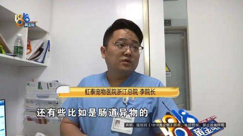 杭州虹泰宠物医院费用