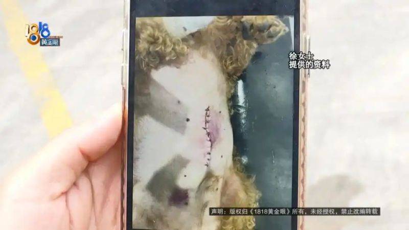 杭州虹泰宠物医院费用