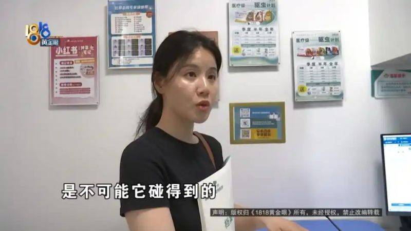 杭州虹泰宠物医院费用