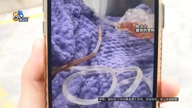 杭州虹泰宠物医院费用