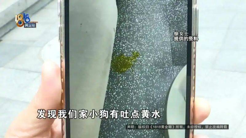 杭州虹泰宠物医院费用
