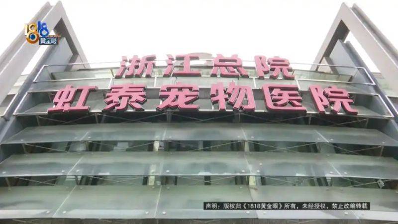 杭州虹泰宠物医院费用