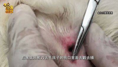 Hangzhou rainbow hospital