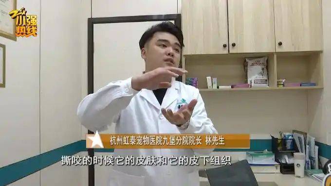 Hangzhou rainbow hospital