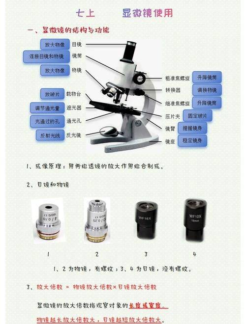 Tool microscope maintenance