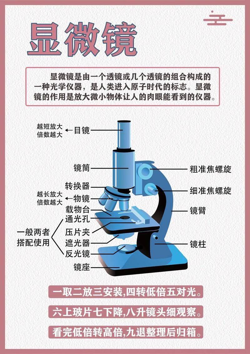 Tool microscope maintenance